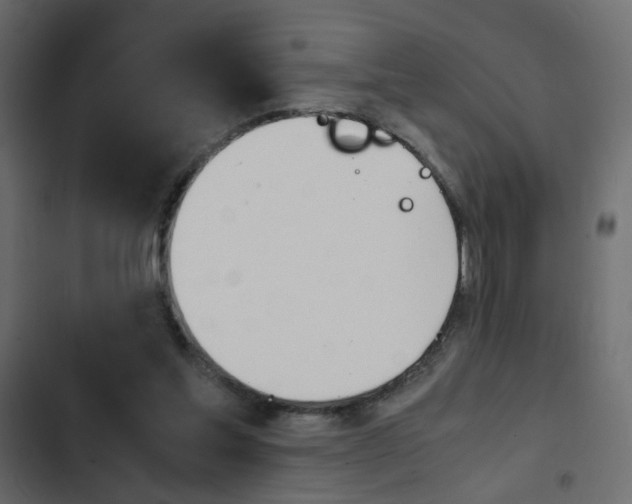 X0000103900205200809191103