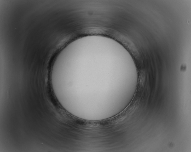 X0000103900206200809191103