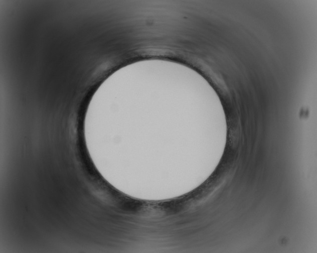 X0000103900207200809191103