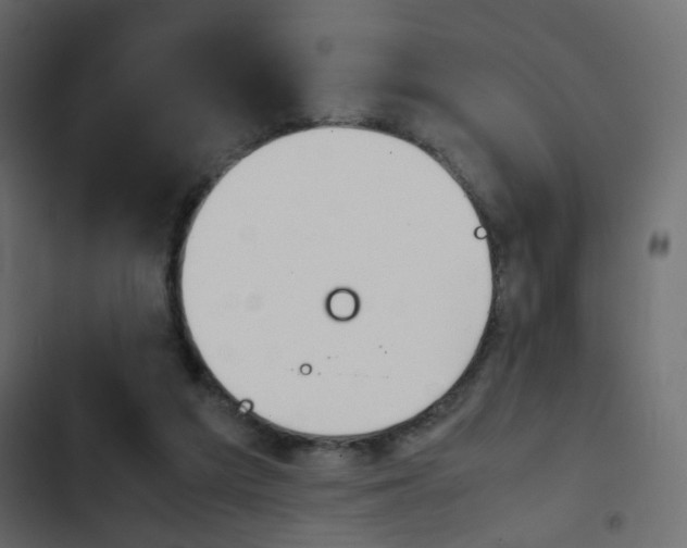 X0000103900209200809191103