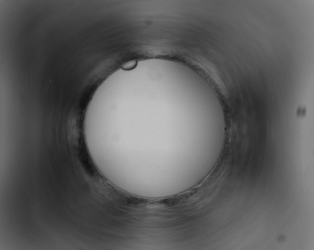 X0000103900210200809191103