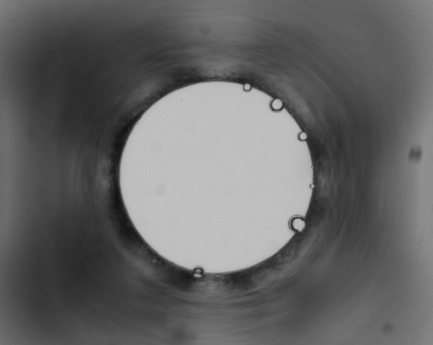 X0000103900211200809191103