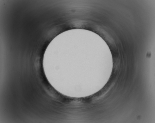 X0000103900213200809191103
