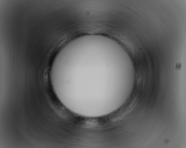 X0000103900214200809191103