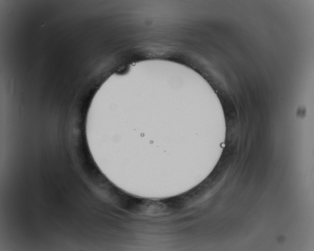 X0000103900215200809191103