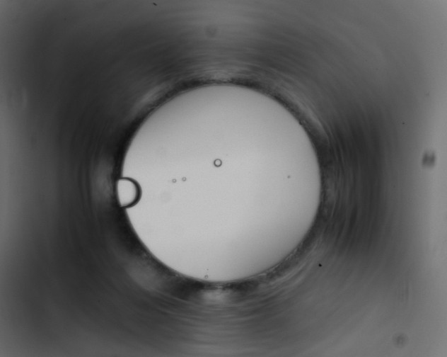 X0000103900216200809191103