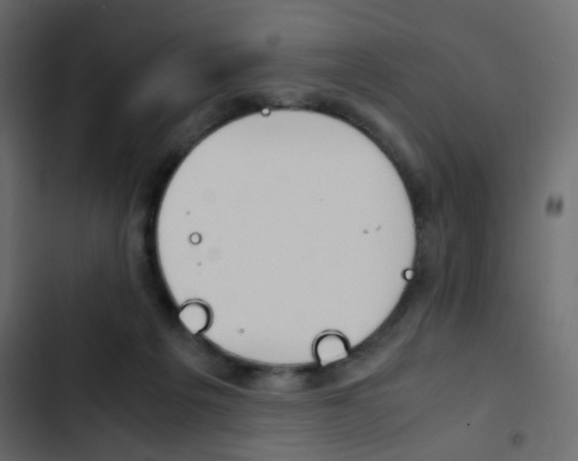 X0000103900217200809191103