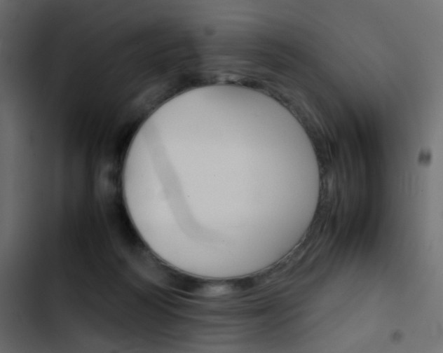 X0000103900218200809191103