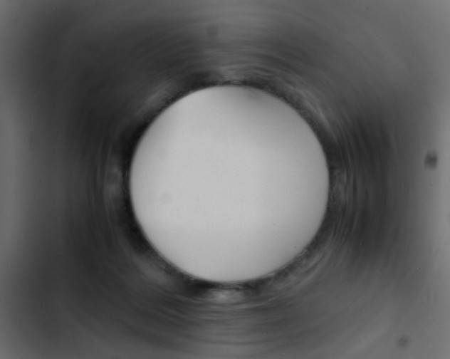 X0000103900220200809191103