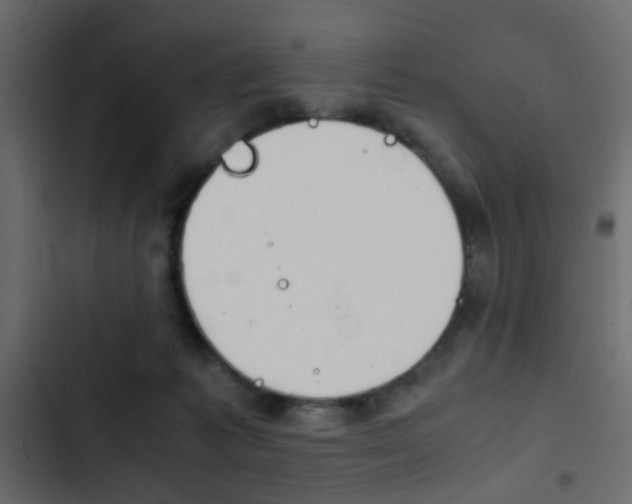 X0000103900221200809191103