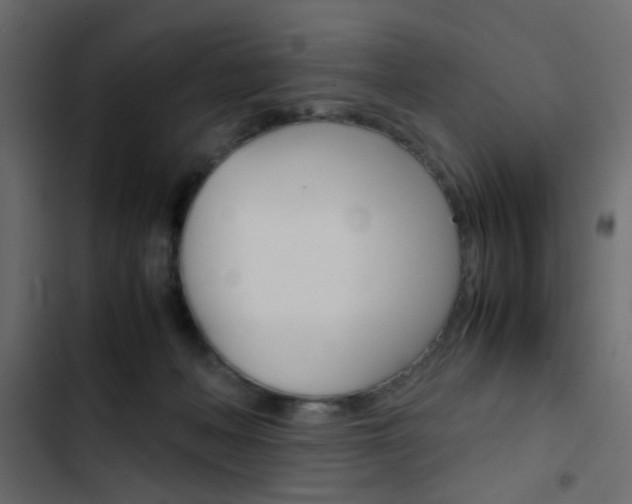 X0000103900222200809191103