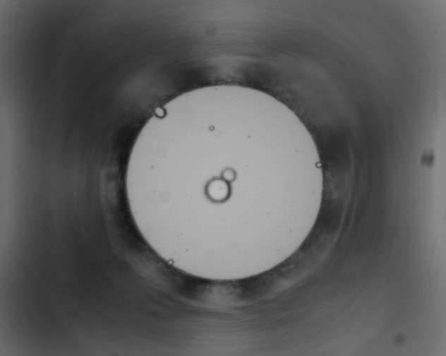 X0000103900223200809191103