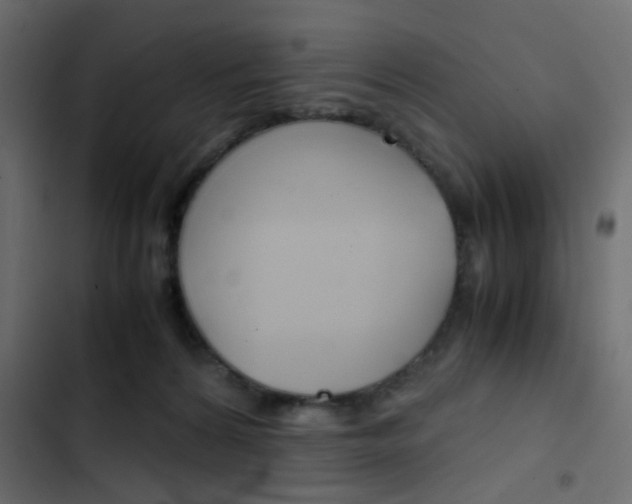 X0000103900224200809191103