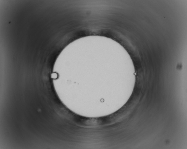X0000103900225200809191103