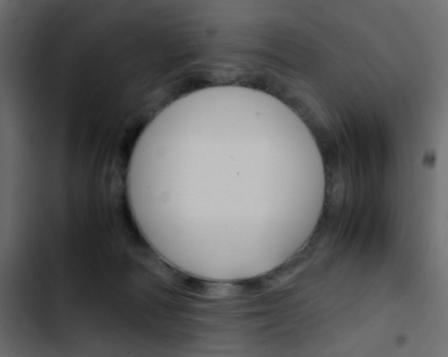 X0000103900226200809191103