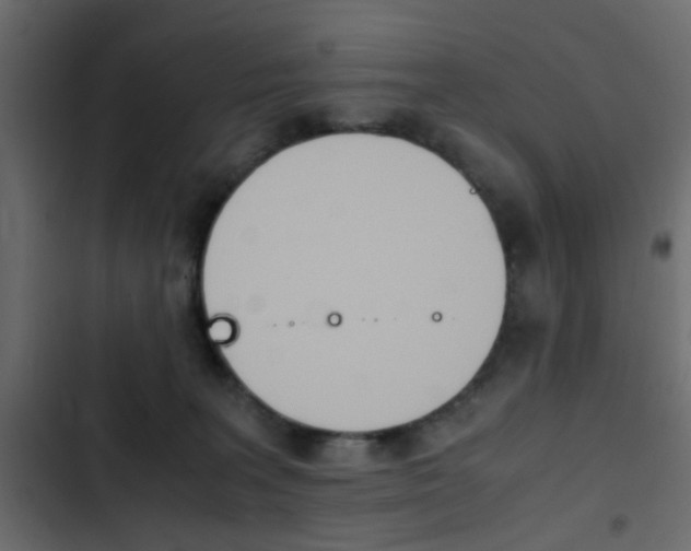 X0000103900227200809191103