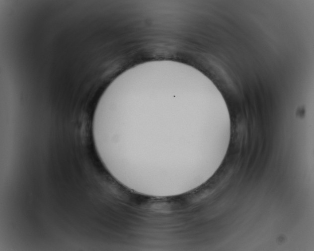 X0000103900228200809191103