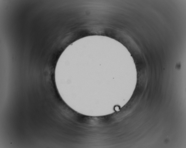 X0000103900229200809191103