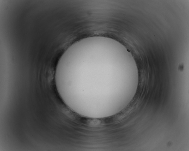 X0000103900230200809191103