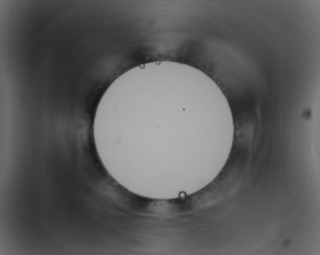 X0000103900231200809191103