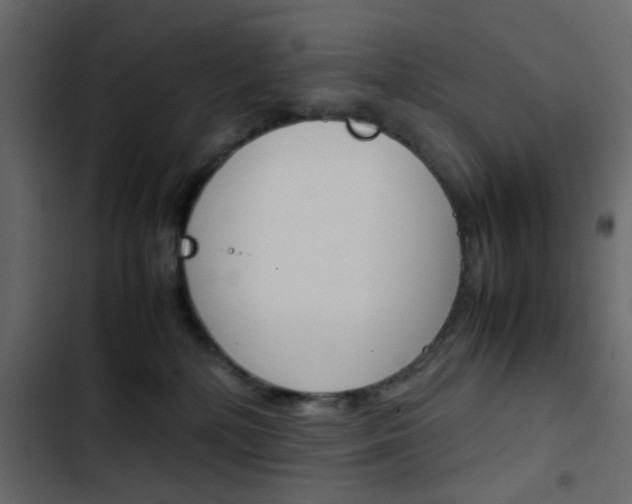 X0000103900232200809191103