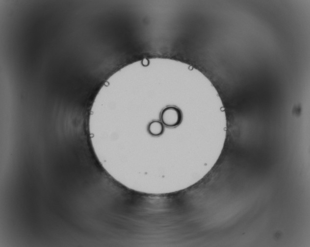 X0000103900233200809191102