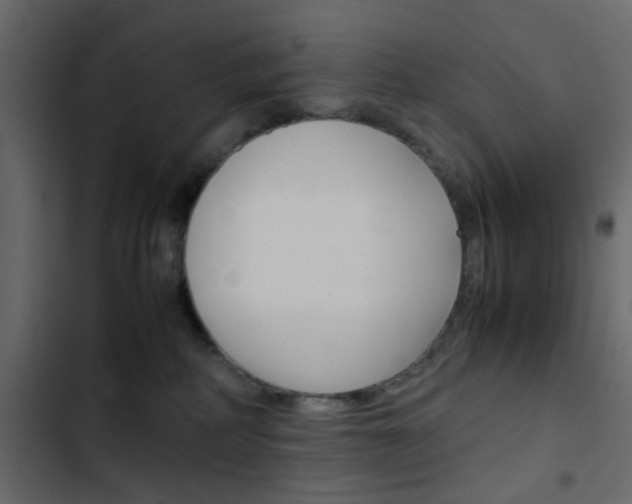 X0000103900234200809191102