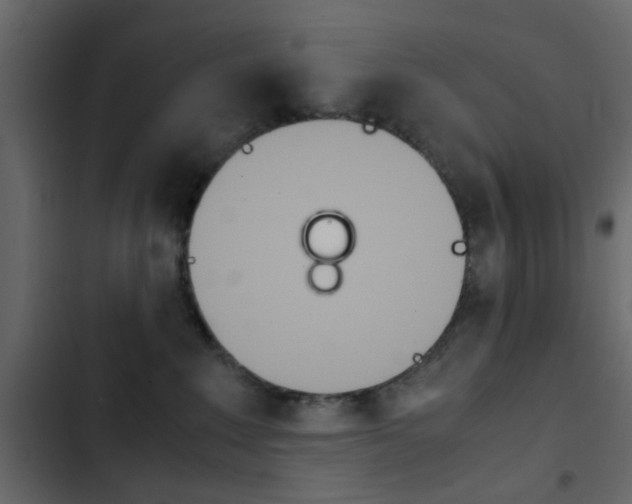 X0000103900235200809191102