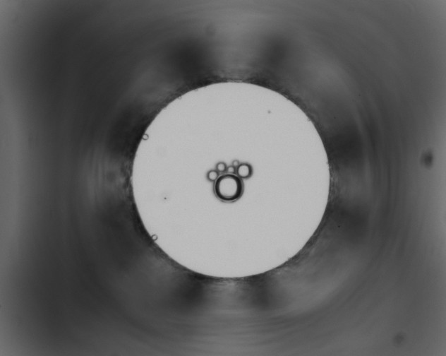 X0000103900237200809191102