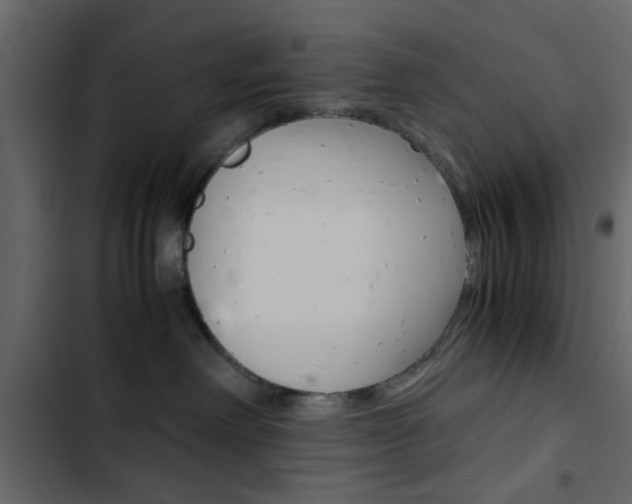 X0000103900238200809191102