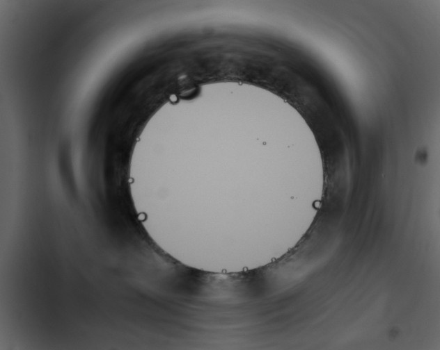 X0000103900239200809191102