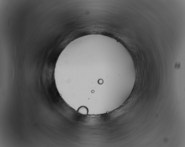 X0000103900240200809191102