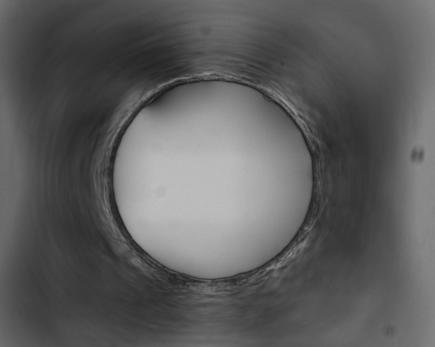 X0000103900241200809191102