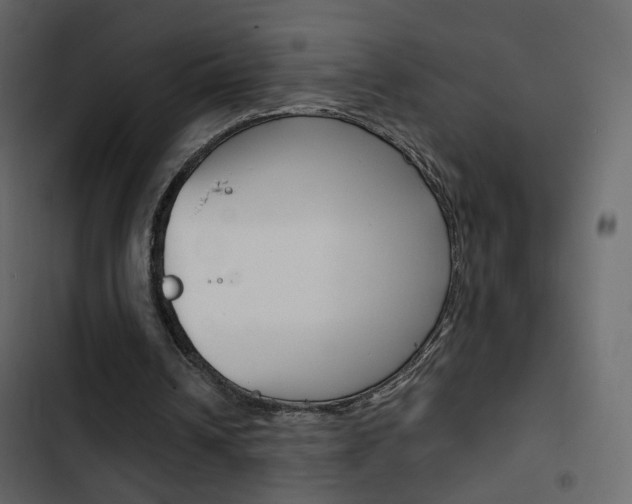 X0000103900242200809191102