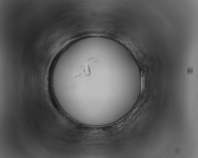 X0000103900243200809191102
