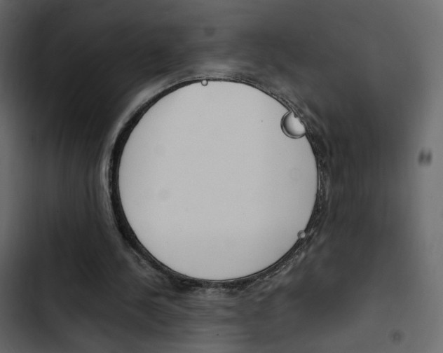 X0000103900244200809191102
