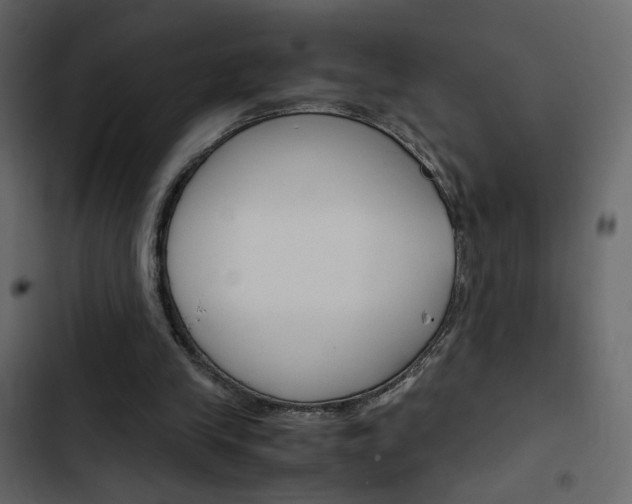 X0000103900245200809191102