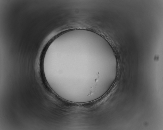 X0000103900246200809191102