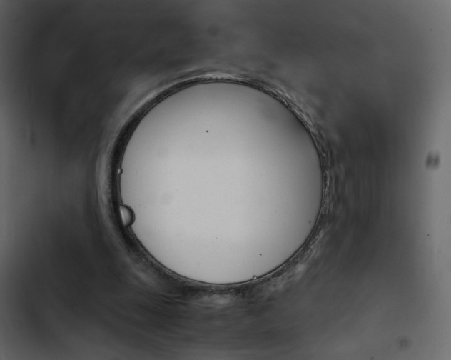 X0000103900247200809191102