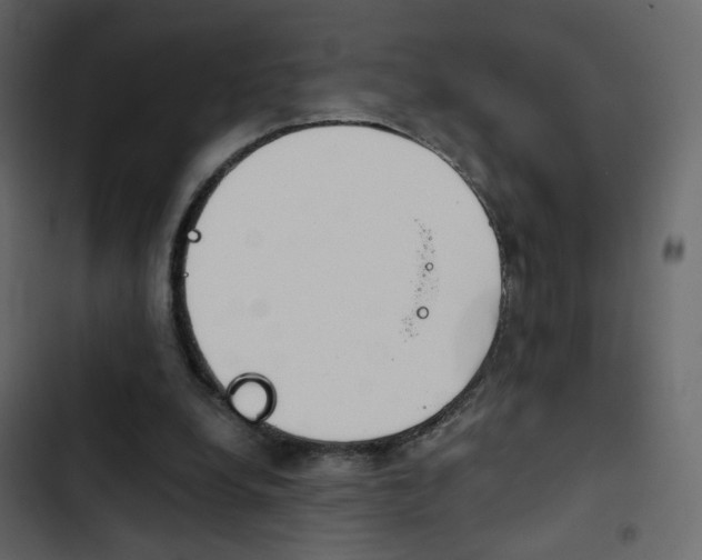 X0000103900248200809191102
