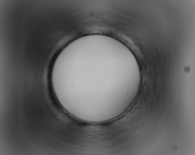 X0000103900250200809191102