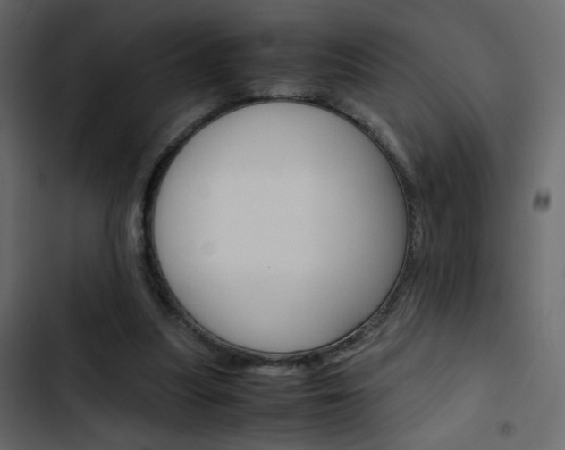 X0000103900251200809191102