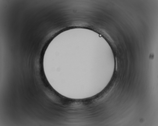 X0000103900252200809191102