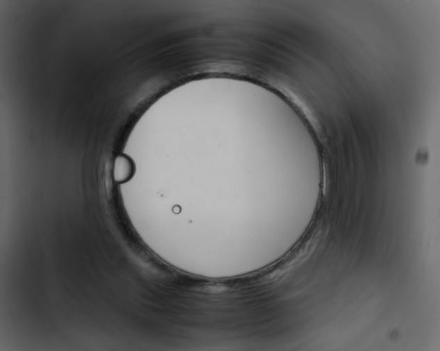 X0000103900253200809191102