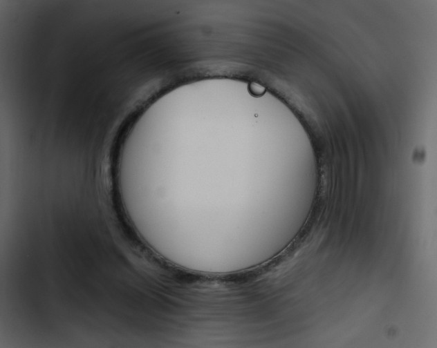 X0000103900254200809191102
