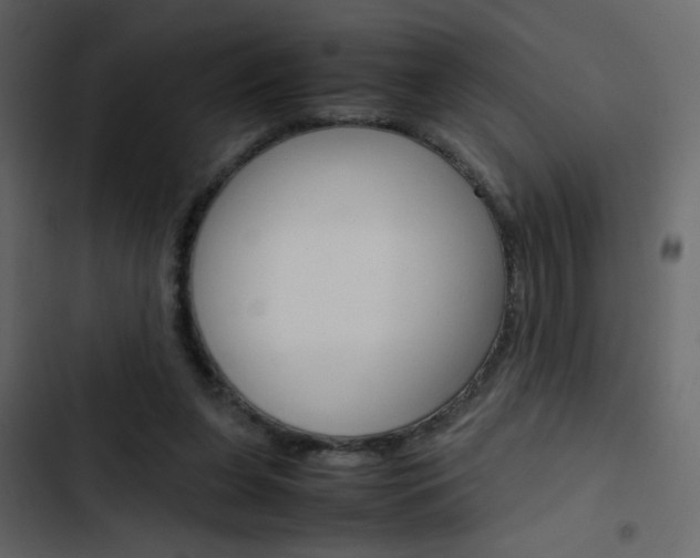 X0000103900255200809191102