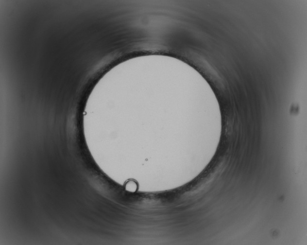 X0000103900256200809191102