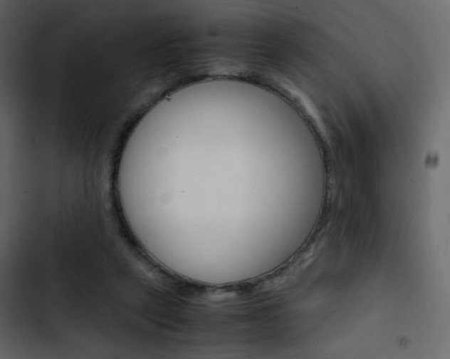 X0000103900257200809191102