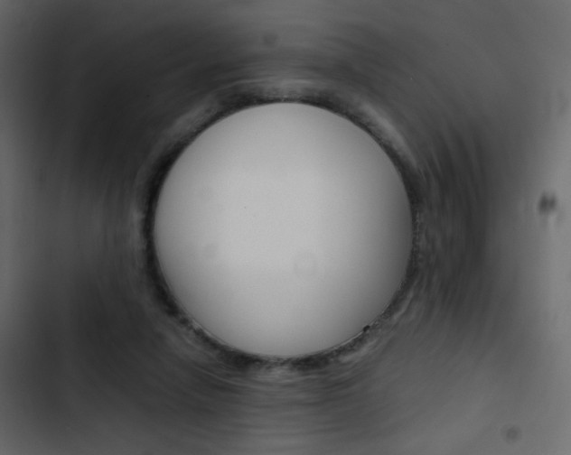 X0000103900258200809191102