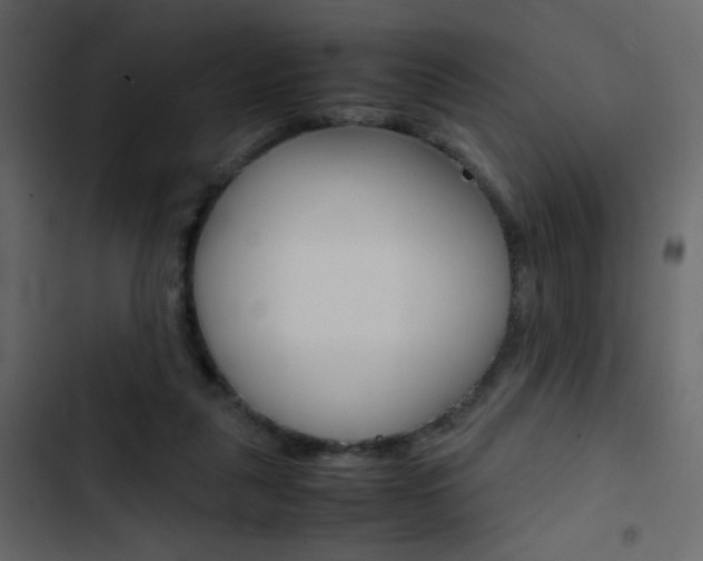 X0000103900259200809191102